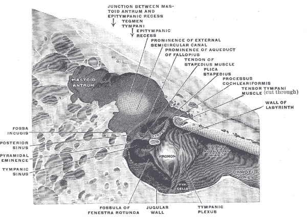 Fig. 914