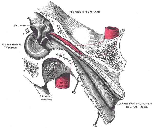Fig. 915