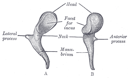 Fig. 916