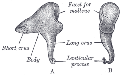 Fig. 917