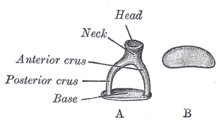 Fig. 918