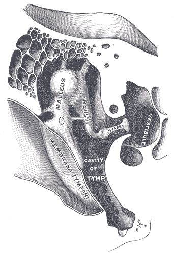 Fig. 919