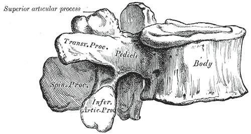 Fig. 92