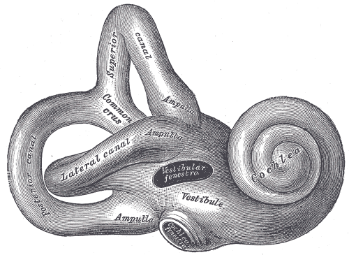Fig. 920