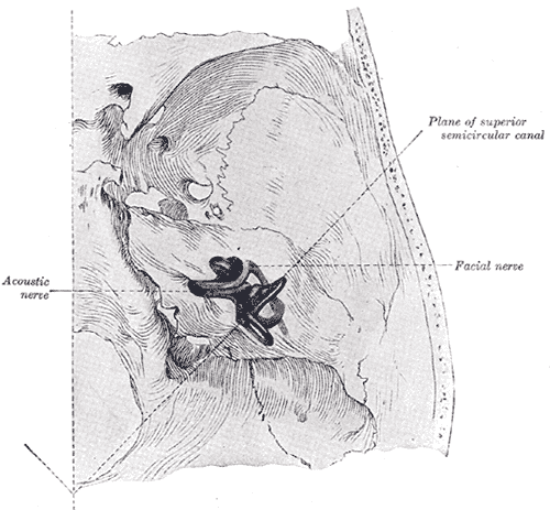 Fig. 922