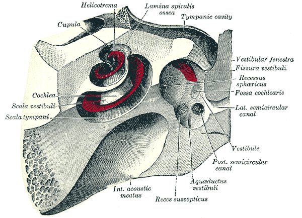 Fig. 923