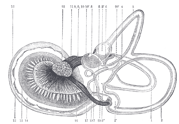 Fig. 926
