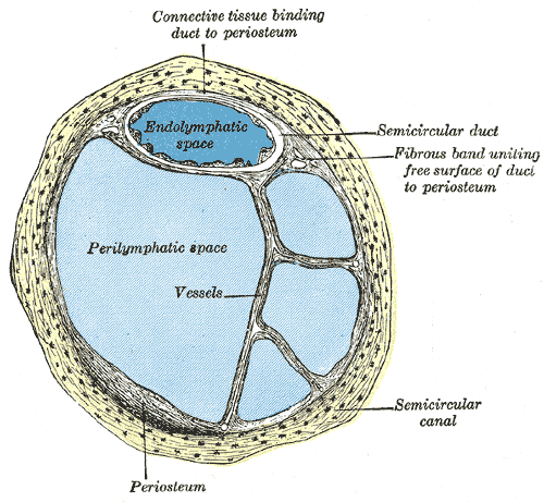 Fig. 927