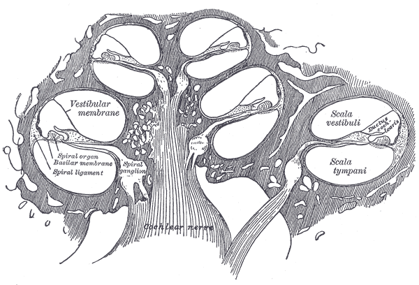 Fig. 928