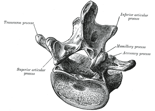 Fig. 93