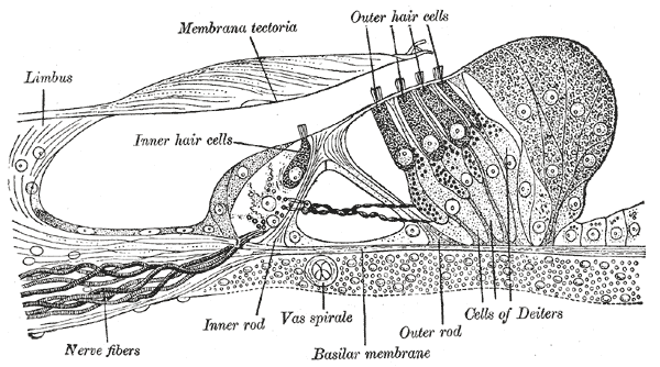 Fig. 931