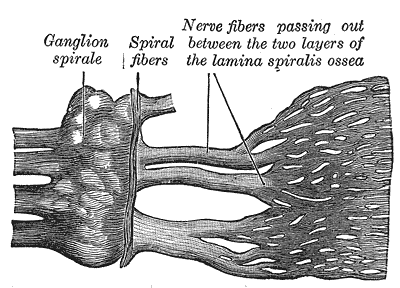 Fig. 933