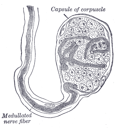 Fig. 934