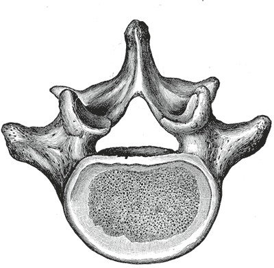 Fig. 94