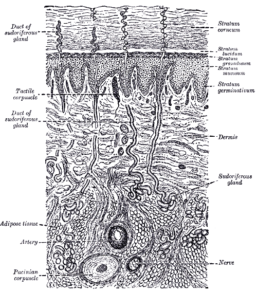 Fig. 940