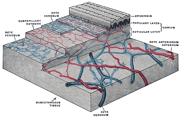 Fig. 942