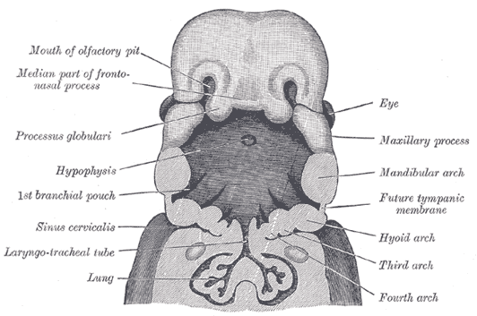 Fig. 947
