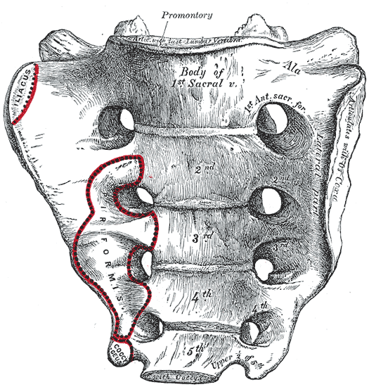 Fig. 95