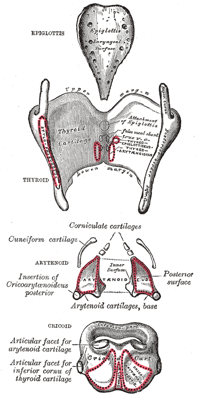 Fig. 950