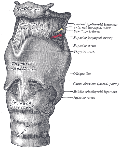 Fig. 951