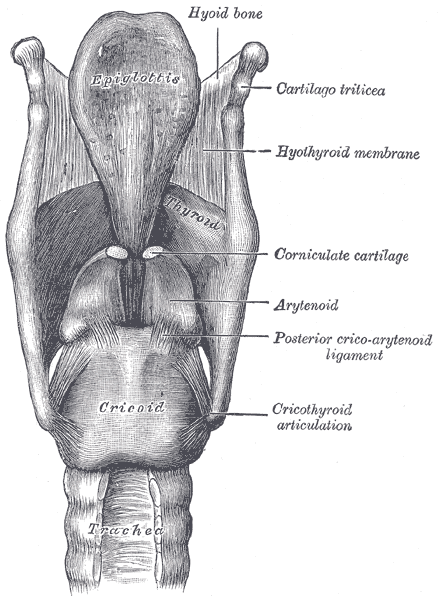 Fig. 952