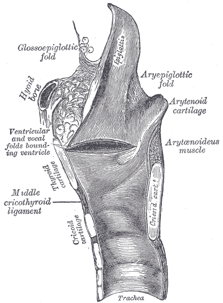 Fig. 953