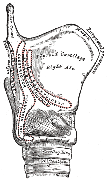 Fig. 957