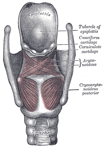 Fig. 958