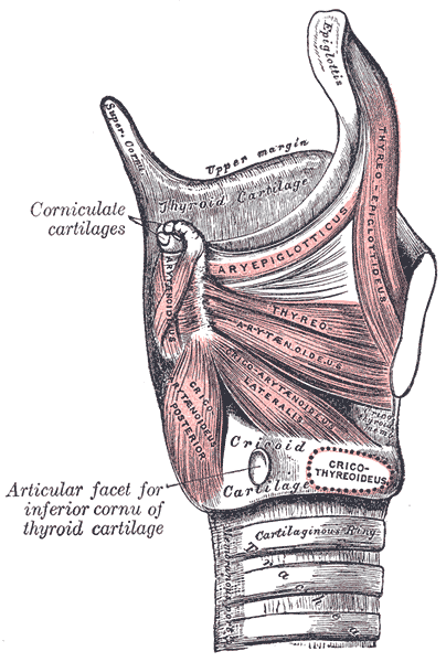 Fig. 959