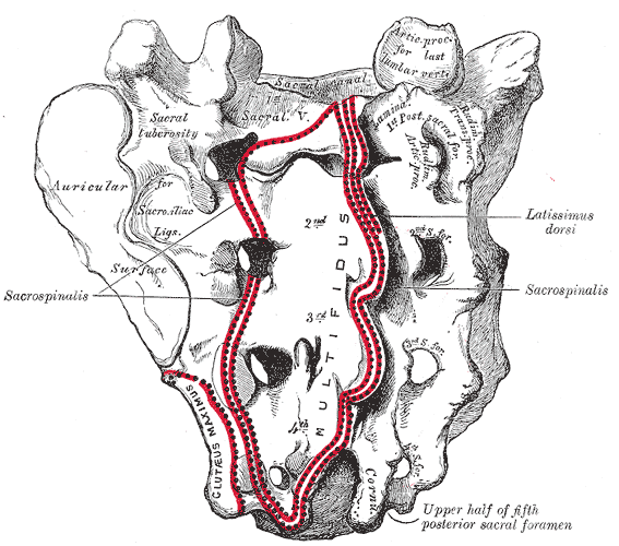 Fig. 96