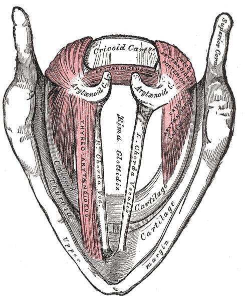 Fig. 960