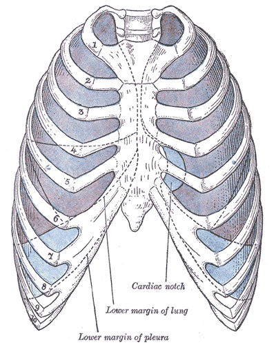 Fig. 965