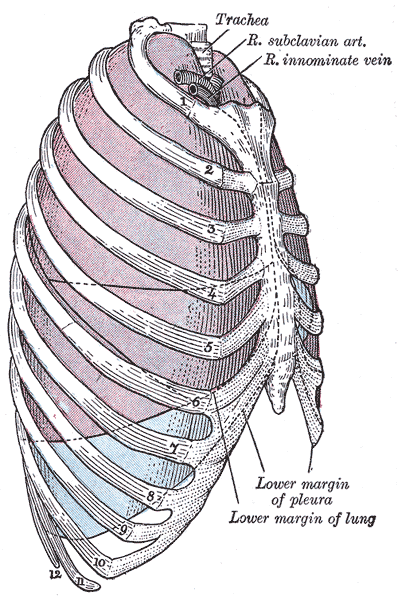 Fig. 966