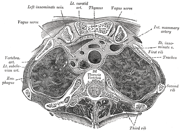 Fig. 967