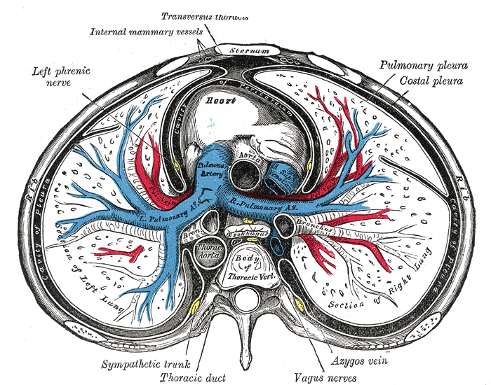 Fig. 968