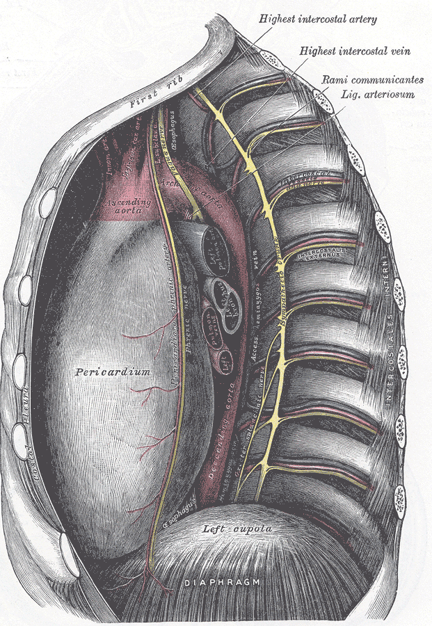 Fig. 969