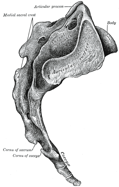 Fig. 97