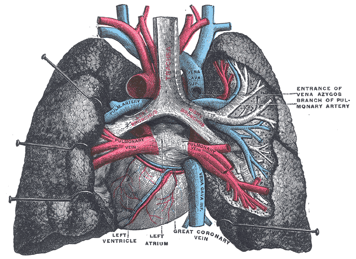 Fig. 971