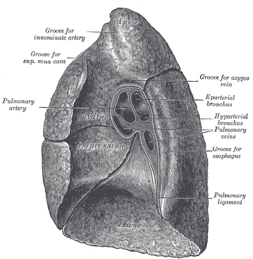 Fig. 972
