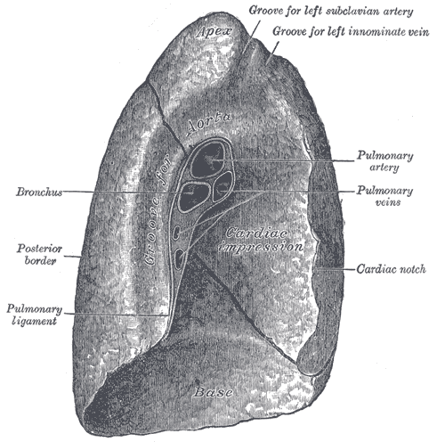 Fig. 973