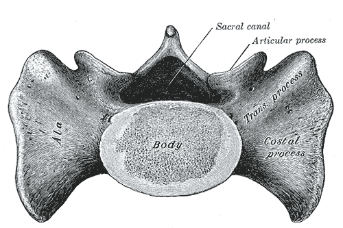 Fig. 98