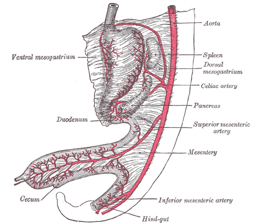 Fig. 985