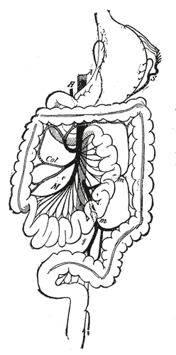 Fig. 988