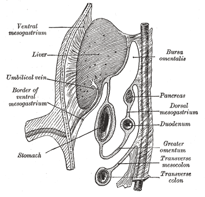 Fig. 989