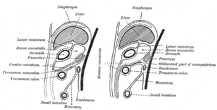 Fig. 990