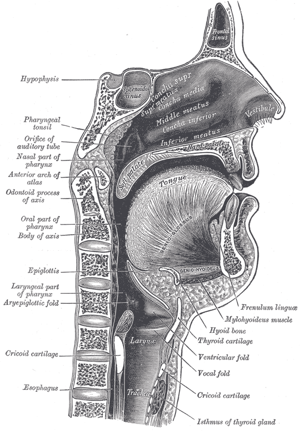 Fig. 994