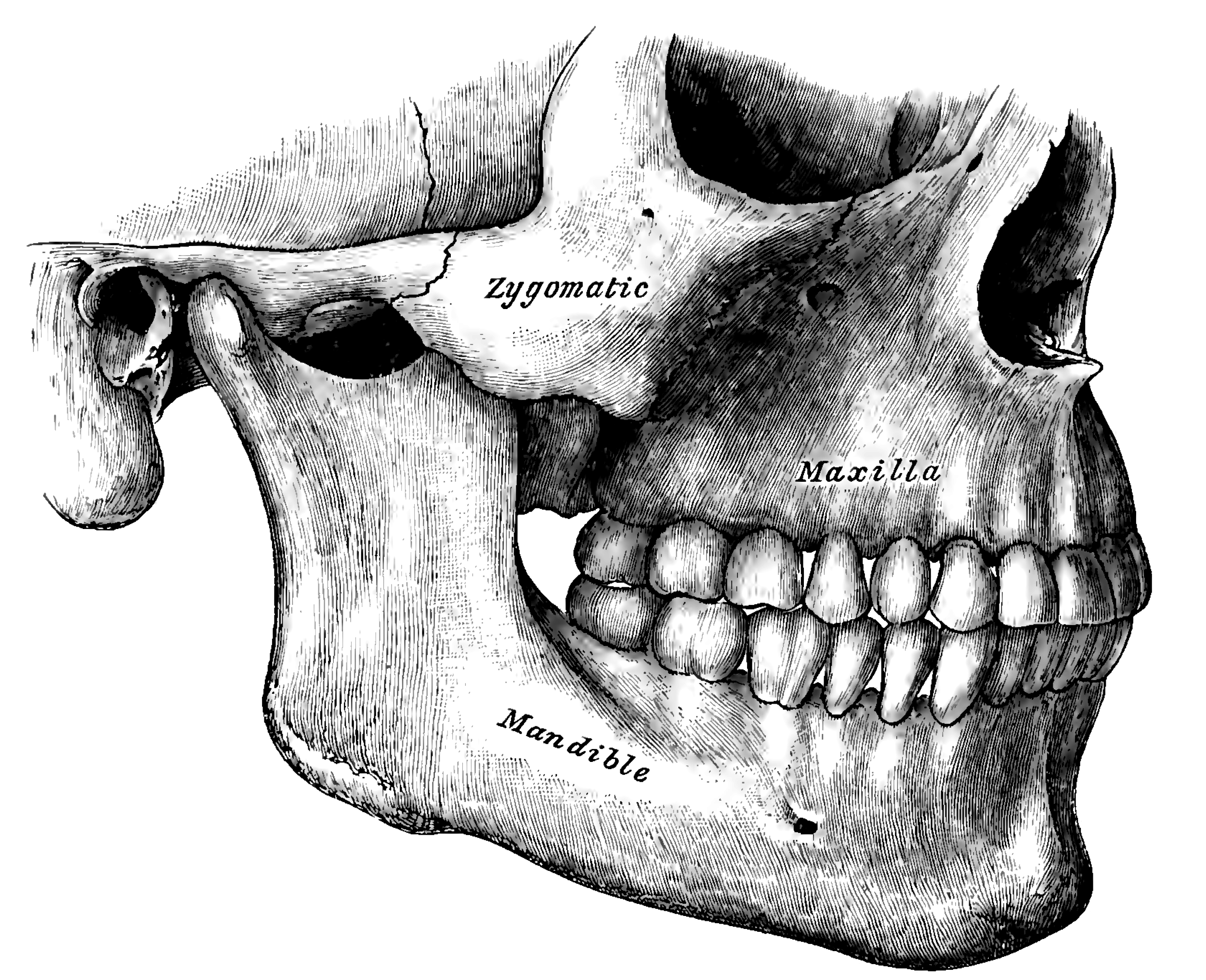 Fig. 995