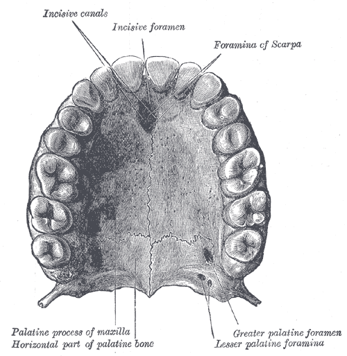 Fig. 996